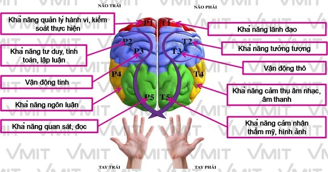 Bí quyết giúp não hoạt động tốt