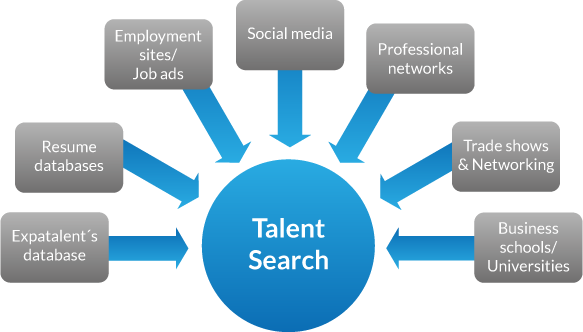 Tổng quan trí tri Talent Search & Selection (s&s)