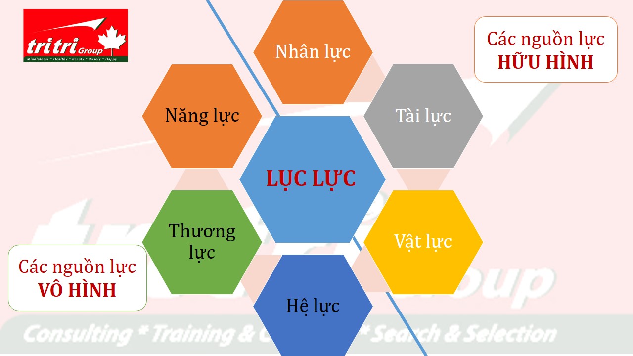 Cải thiện năng suất/hiệu quả đột phá qua LỤC LỰC