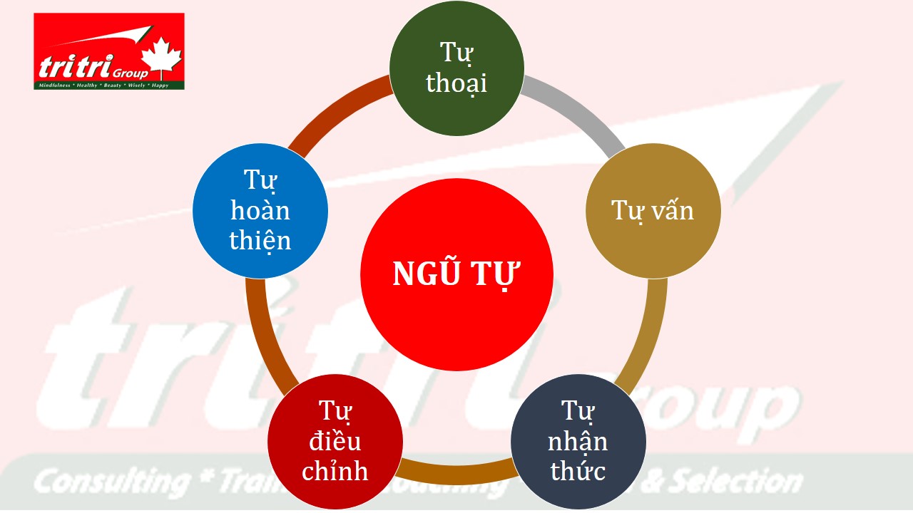 BÍ QUYẾT QUẢN TRỊ: NGŨ TỰ - Nghệ thuật tự nâng cao năng lực bản thân